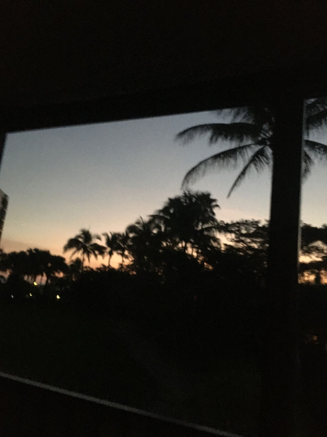 Having a wonderful time in Siesta Key Florida!