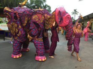 At the San Diego Zoo