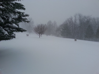 Blog from Rebecca’s Mom