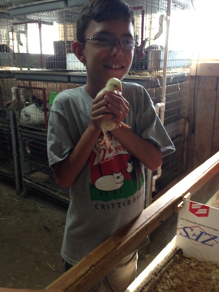 Learning at the Critter Barn