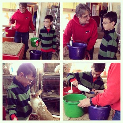 Helping Out at the Farm