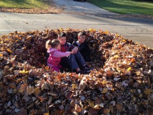 Leaf Fort