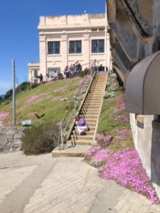 Alcatraz.2