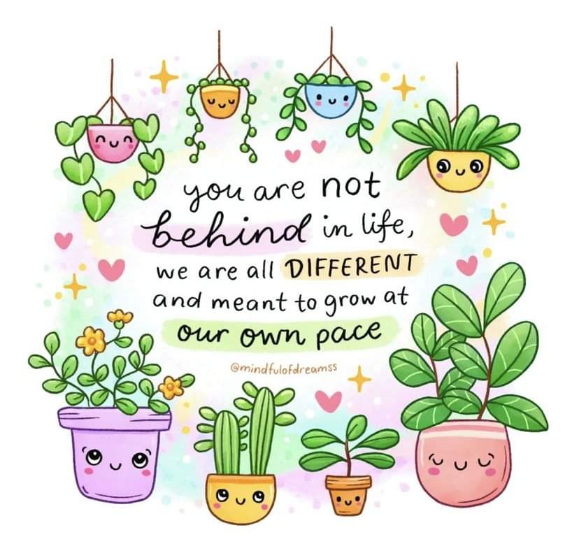 Illustration of hanging plants "You are not behind in life, we are all different and meant to grow at our own pace.