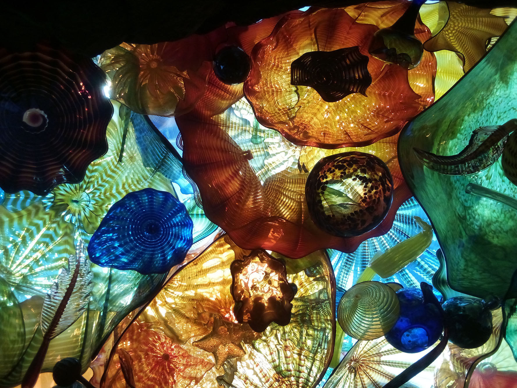 A visit to the Franklin Park Conservatory and Botanical Gardens