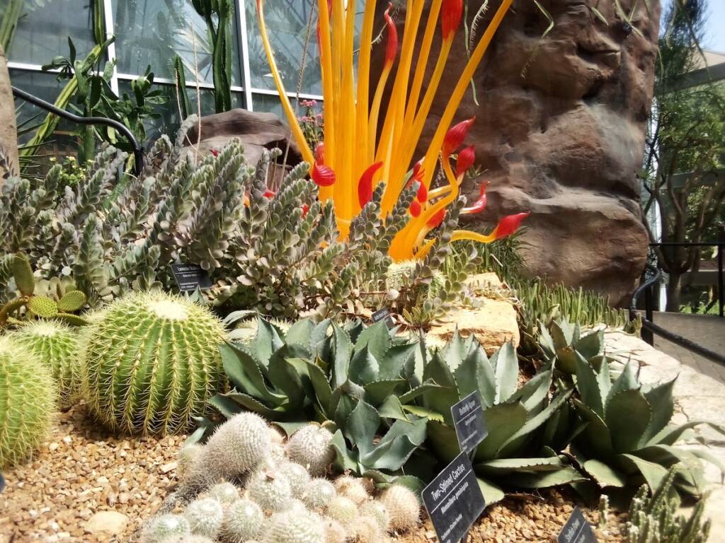 Green round and leafy cacti and orange stalks with bright red leaves with stone and rock base. 