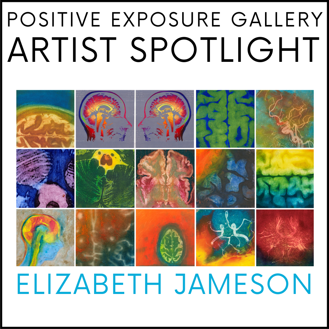 A collage of colorful images. Positive Exposure Gallery Artist Spotlight, Elizabeth Jameson