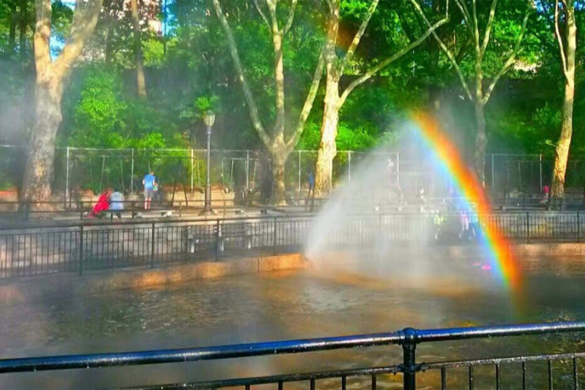 Image of greenery , water and partial rainbow