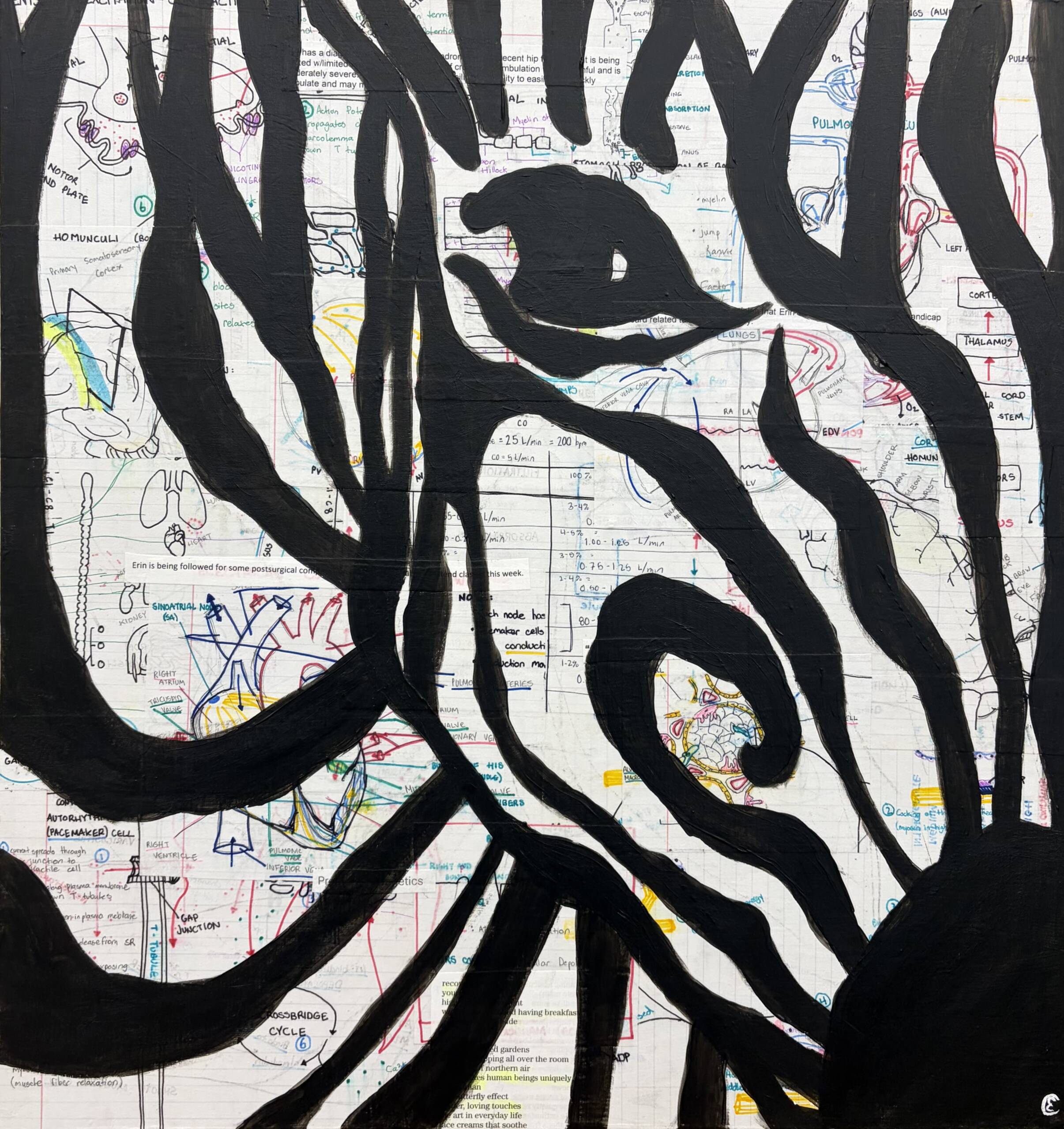 A zebra against a medical chart.